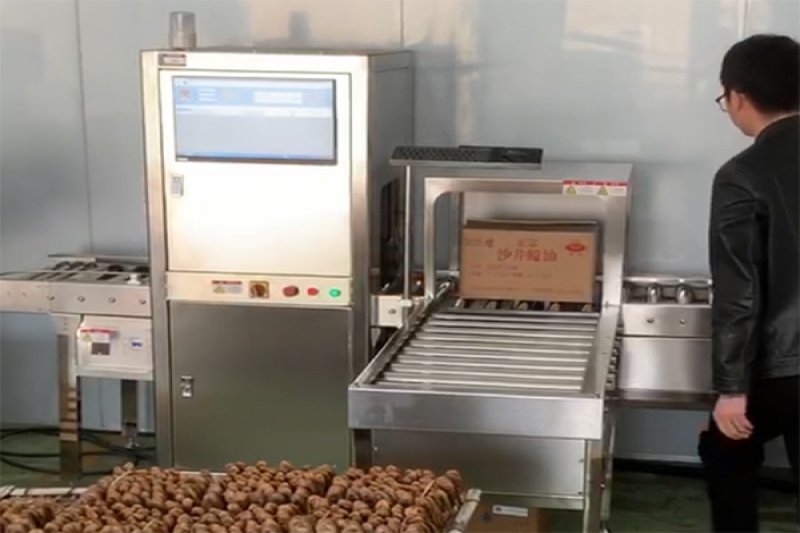 深圳沙井蚝油溯源项目