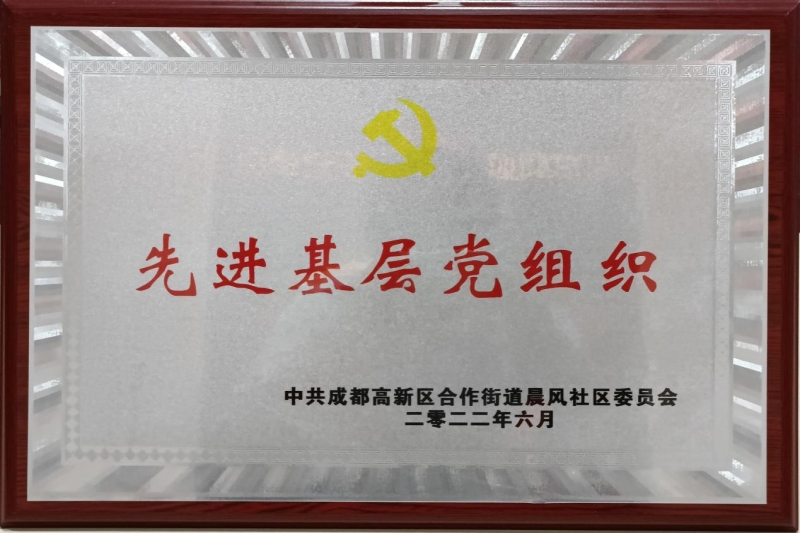 公司党支部荣获“先进基层党组织”称号