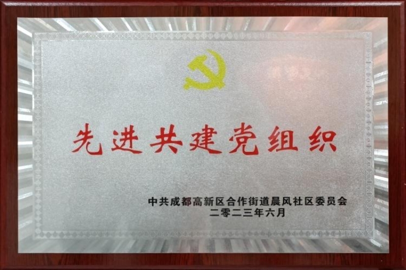 普什信息化公司党支部荣获“先进共建党组织”称号